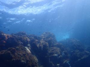 とりあえず画像