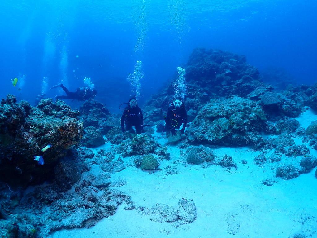 日帰りダイビング旅行におすすめ!沖縄本島発・魅力満載の離島ダイブスポット-慶良間諸島!