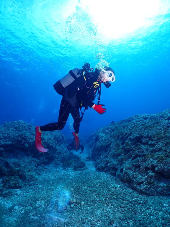 泳げない高齢者でもジョニーズダイビングなら沖縄慶良間の離島 座間味島の海を楽しめる Wonderful Diving Life 海とダイビング を楽しむためのお役立ち情報を発信するブログ