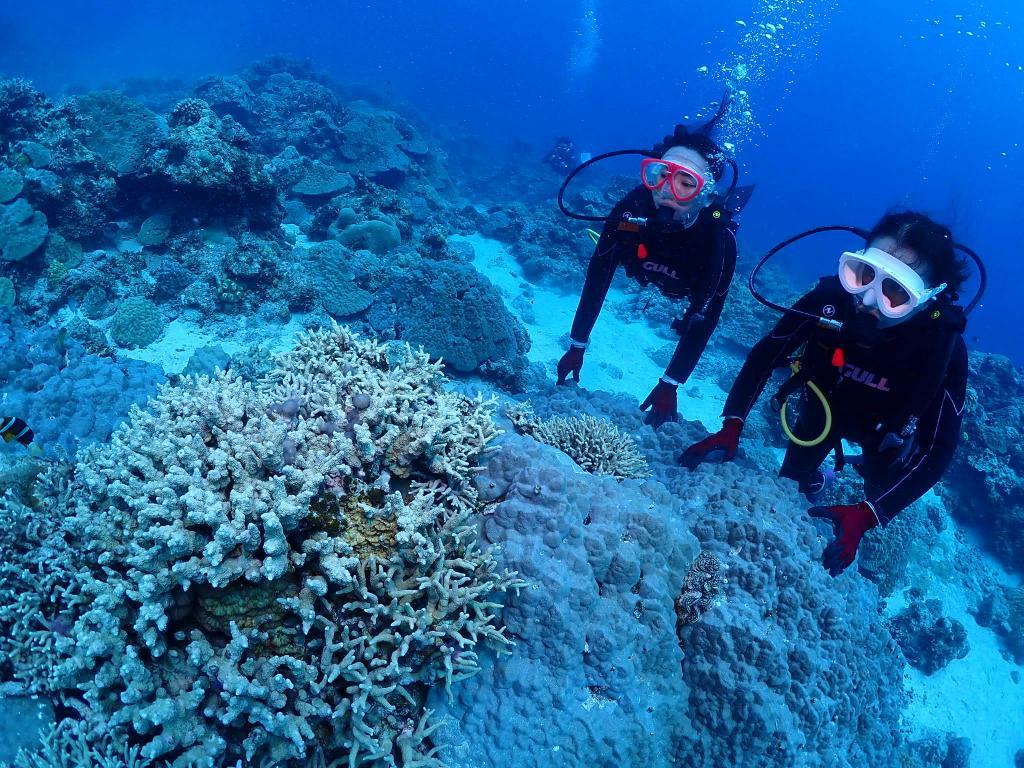 Wonderful Diving Life 海とダイビングを楽しむためのお役立ち情報を発信するブログ