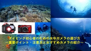 ダイビング初心者のための水中カメラの選び方～おすすめカメラの紹介と