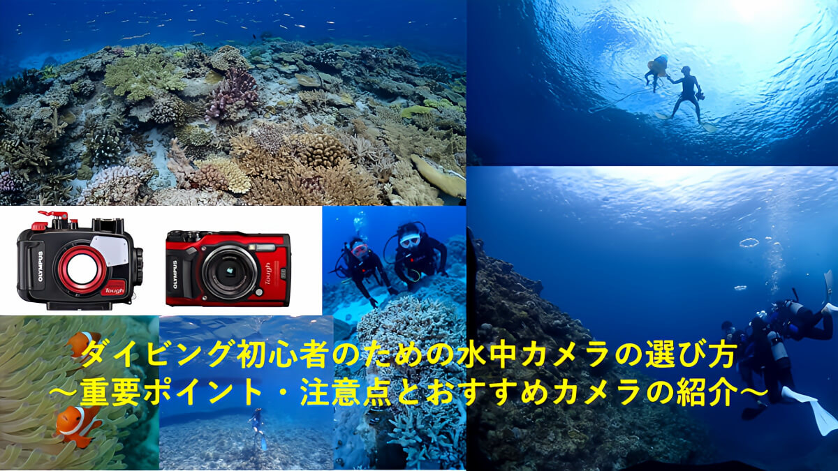 ダイビング初心者のための水中カメラの選び方～おすすめカメラの紹介と重要ポイント・注意点～
