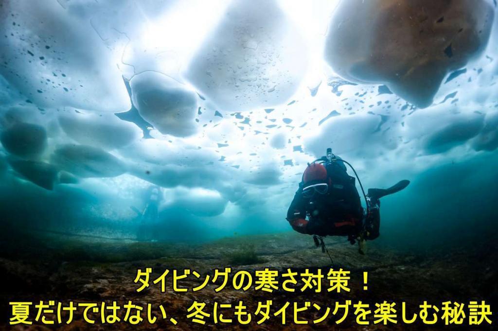 ダイビングの寒さ対策!夏だけではない、冬にもダイビングを楽しむ秘訣